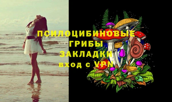 эйфоретик Алзамай