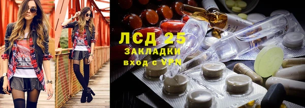 эйфоретик Алзамай