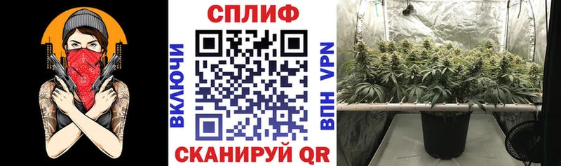дарк нет как зайти  где купить наркоту  Рыбное  Канабис семена 
